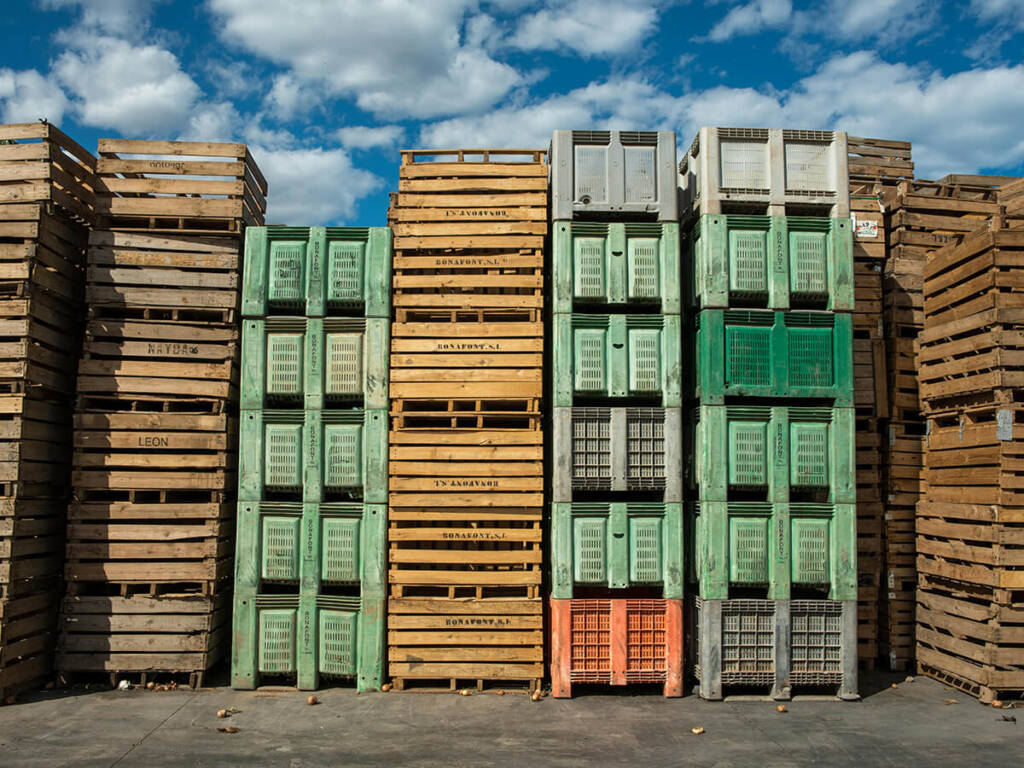 How-Proper-Pallet-Management-Can-Reduce-Your-Shipping-Costs-and-Improve-Efficiency