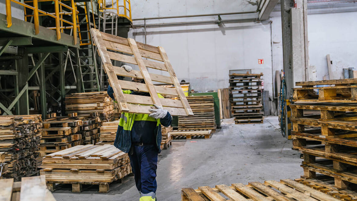 11 Critical Safety Checks Forklift Operators Must Perform When Handling Wood Pallets
