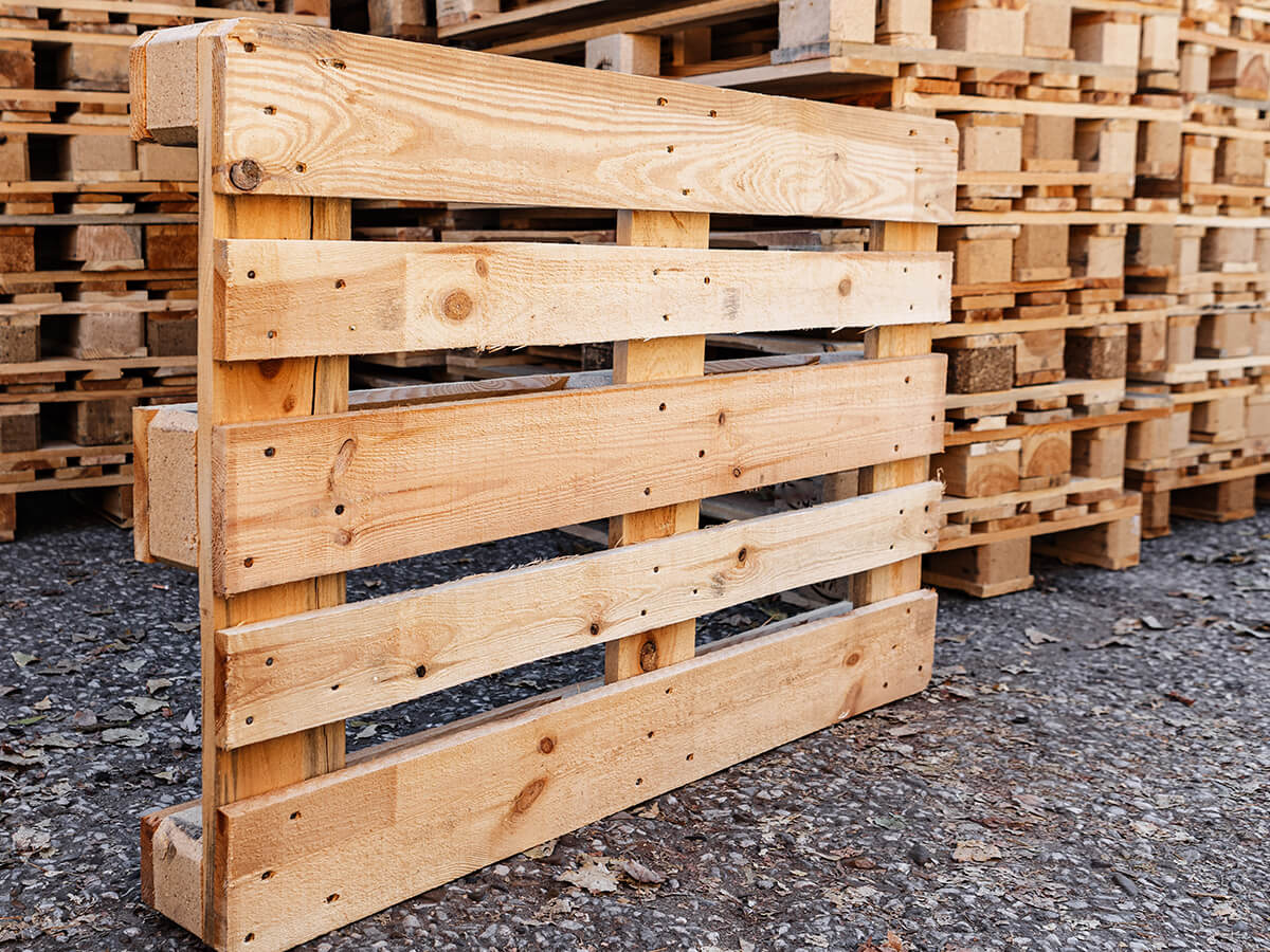9-Common-Wood-Species-Used-for-Pallets