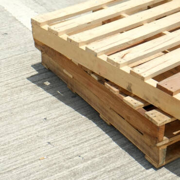 9 Common Wood Species Used in Pallet Manufacturing and Why Does It Matter