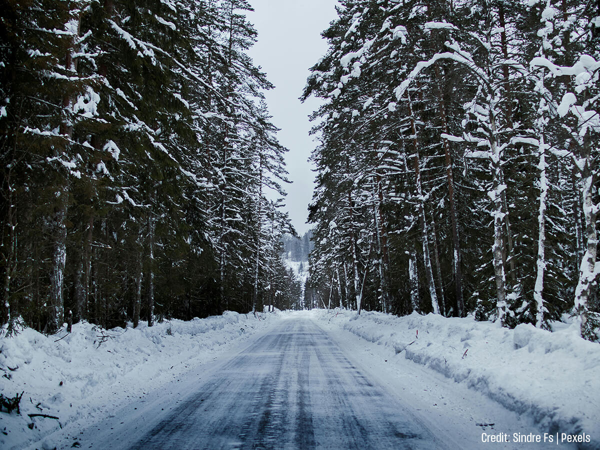 Does-the-Supplier-Possess-Seasoned-Winter-Experience
