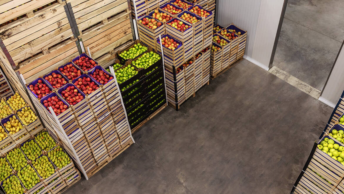 The “Cold Chain” Challenge: How Wood Pallets Perform in Sub-Zero Storage