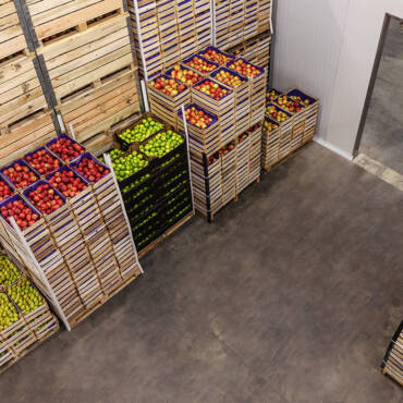 The “Cold Chain” Challenge: How Wood Pallets Perform in Sub-Zero Storage