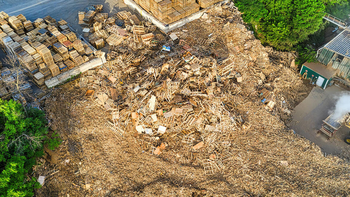 Why Use High-Quality Kiln-Dried Softwood for Your Wood Mulch Needs: 7 Critical Reasons