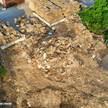 Why Use High-Quality Kiln-Dried Softwood for Your Wood Mulch Needs: 7 Critical Reasons