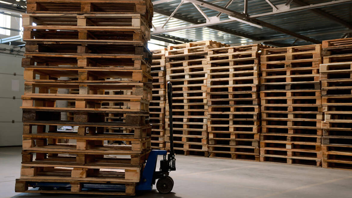 What Storage Mistakes Cause Mould Growth on Wood Pallets and Ruin Your Inventory?