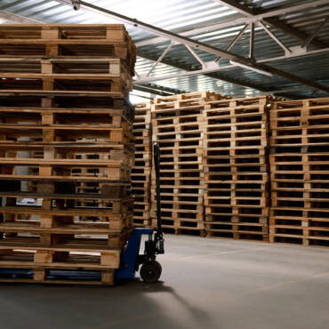 What Storage Mistakes Cause Mould Growth on Wood Pallets and Ruin Your Inventory?