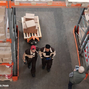 How Can Businesses Future-Proof Their Supply Chain with the Right Wood Pallets?